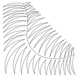 fern feather brd crn 003